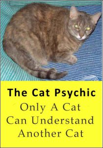John Heartfield Story The Cat Psychic